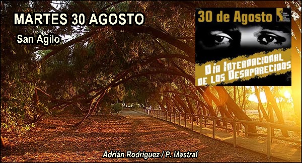 Agenda del martes 30 de agosto - Objetivo Torrevieja