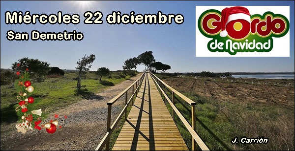 Agenda del miércoles 22 de diciembre - Objetivo Torrevieja