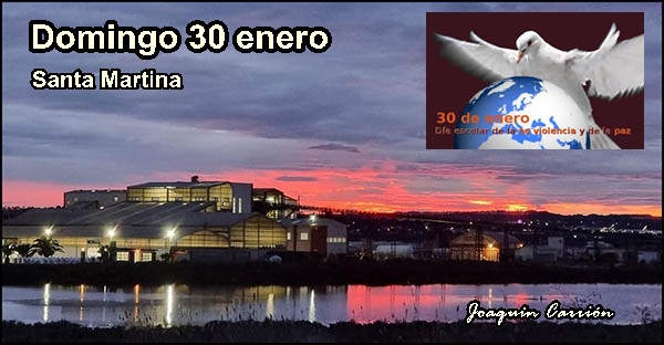 Agenda domingo 30 de Enero de 2022 - Objetivo Torrevieja