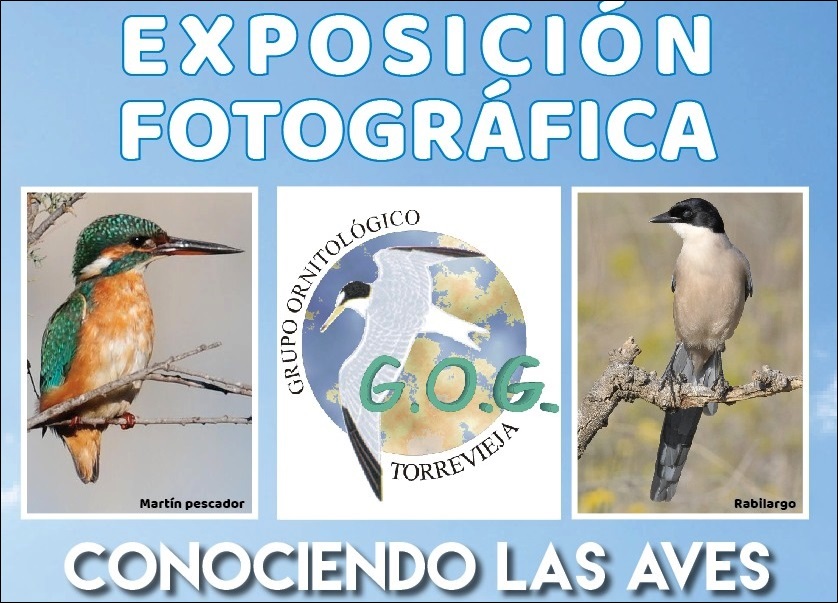 Esta tarde se inaugura la exposición fotográfica “Conociendo las aves”