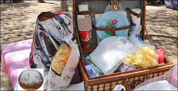 La “Mona de Pascua” entre pinos,  una tradición que no se pierde